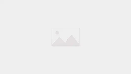 bouton-pneumatique-014266